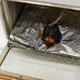 Illustration for article titled Toasting Kit Kats at Home Sure Looks Dangerous and Delicious